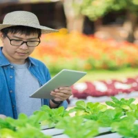 Agriculture Accountants 3